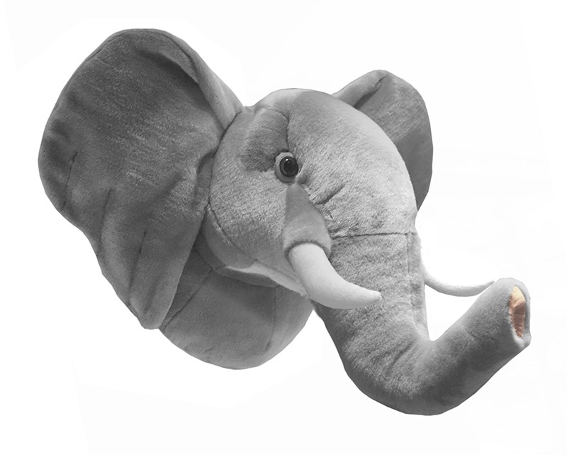 Djurhuvud, Elefant