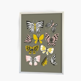 Affisch, fjärilar
